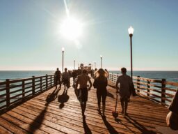 PMDMC Scholarships