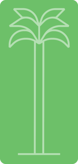 Brand Kit - PMDMC 2024