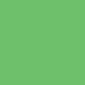 PMDMC24 Green PMDMC24 Green