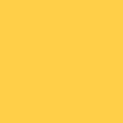 PMDMC24 Yellow PMDMC24 Yellow