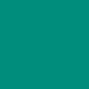PMDMC25 Go Birds Green PMDMC25 Go Birds Green