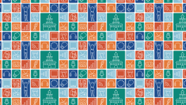 PMDMC25 - Icon Pattern - Full Color